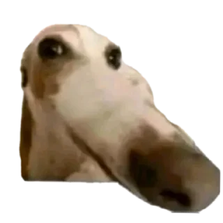 🖼 emoji Хажибэг Telegram sticker 13 of 40