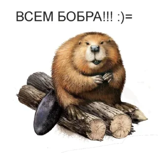 😏 emoji БОБРЫ Telegram sticker 5 of 30