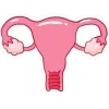 😍 emoji Биология Лизосомы @lizabiology @EmojiRu_Bot Telegram sticker 22 of 54