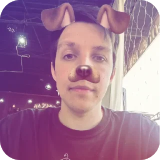 😎 emoji Розовеньки собак Telegram sticker 13 of 42