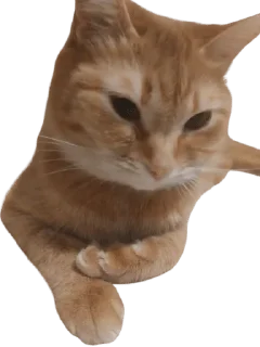 🌟 emoji Otya Telegram sticker 21 of 35