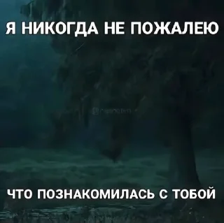 Sticker from для бро