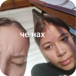 🤲 emoji лилька и янка Telegram sticker 12 of 30