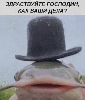 🖐 emoji Культура, ёпта Telegram sticker 19 of 106