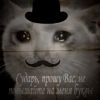😥 emoji Культура, ёпта Telegram sticker 10 of 106