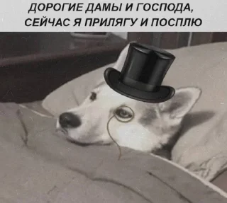😴 emoji Культура, ёпта Telegram sticker 11 of 106
