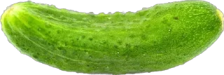 Sticker from 🥒