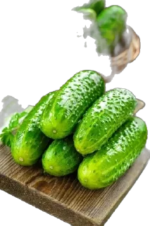 Sticker from 🥒