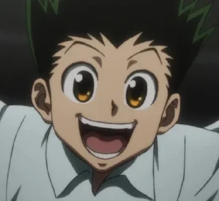 😃 emoji Hxh Telegram sticker 22 of 120