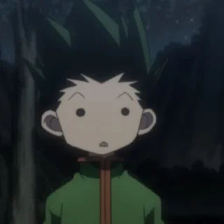 😯 emoji hxh Telegram sticker 9 of 13