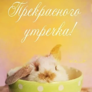 Sticker from :)