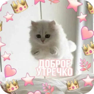 🐱 emoji С добрым утром Telegram sticker 23 of 40