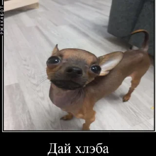 🦠 emoji Бебрик Telegram sticker 7 of 9