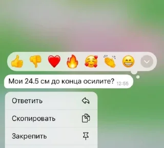 🌟 emoji Оля и крис Telegram sticker 13 of 112