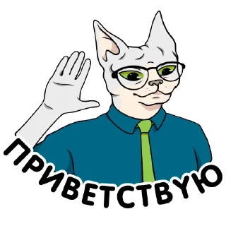 Sticker from Кот RезидентЪ