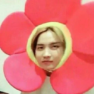 🌺 emoji жизка Telegram sticker 20 of 60
