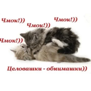 Sticker from пикчи!!