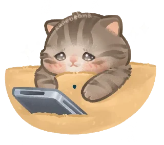 🐱 emoji Boba @itsxcvinow Telegram sticker 13 of 62