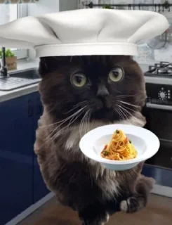 🐱 emoji Чмоня Telegram sticker 20 of 41