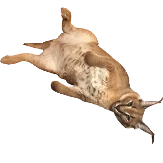 🥴 emoji Большой Шлепа @trafslybot Telegram sticker 10 of 25