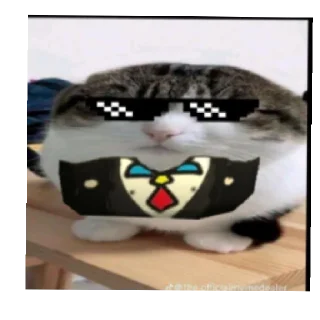 😎 emoji Кошаки 2 Telegram sticker 6 of 25