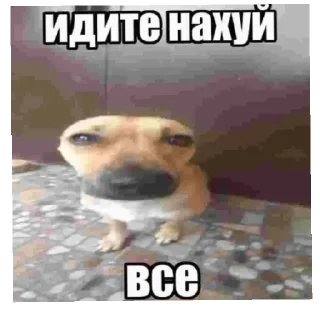😡 emoji туся вахуи Telegram sticker 2 of 16