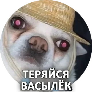 Sticker from За мат извени👉 @pornostikerys 🔞