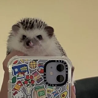 📱 emoji Наркоёжик Telegram sticker 12 of 23