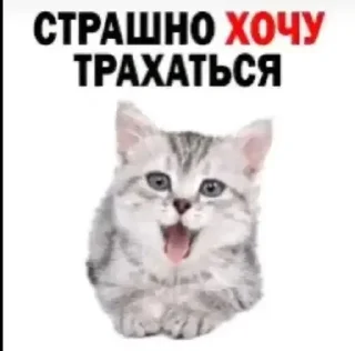 Sticker from дебилы