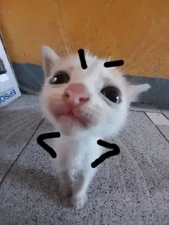🤨 emoji деБилы Telegram sticker 9 of 26