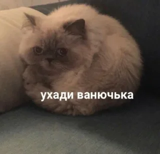 🤢 emoji полный ништяк Telegram sticker 20 of 111