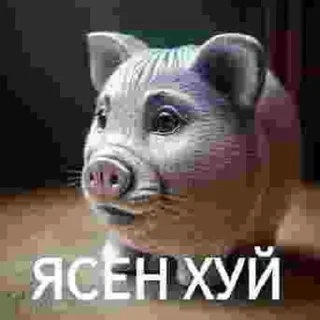 🌟 emoji ясен хуй Telegram sticker 8 of 29