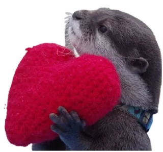 💖 emoji сашкины выдры Telegram sticker 14 of 21