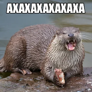 😂 emoji @citatyanimal Выдры Telegram sticker 6 of 108