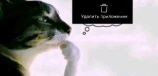 🤔 emoji название в разработке Telegram sticker 23 of 113