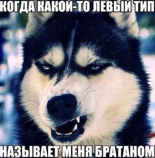 😒 emoji песебан Telegram sticker 20 of 87