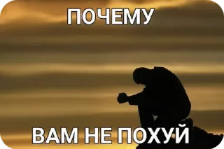 Sticker from От креветки