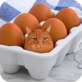 🫥 emoji котики Telegram sticker 17 of 18