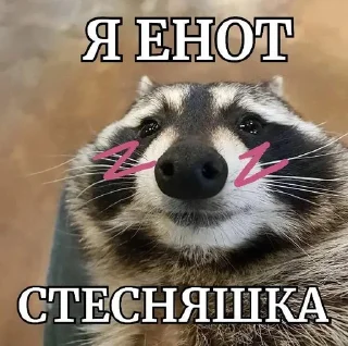 Sticker from енотеки брадочки😎