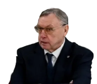 🌟 emoji Женская Хоккейная Лига Telegram sticker 5 of 26