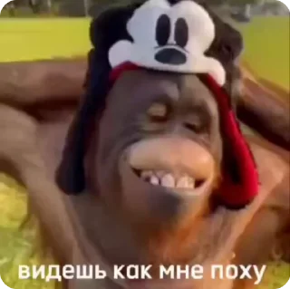 🥱 emoji MONKE KING by @amirov_df @tearsofheavenn Telegram sticker 19 of 56