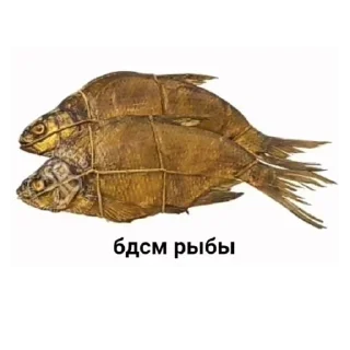 🐢 emoji БОЛЬШЕ ⇨ @CLOOBHUB МЕМЫ MEMES ТГ TG Telegram sticker 16 of 56