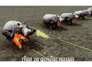🦛 emoji Кобаныш Telegram sticker 19 of 120
