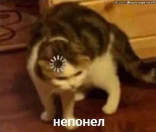 😾 emoji #навсеслучаижизни Telegram sticker 8 of 23