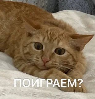 Sticker from Ириска