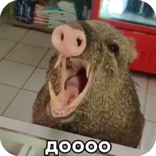 👍 emoji Жиза Telegram sticker 18 of 18