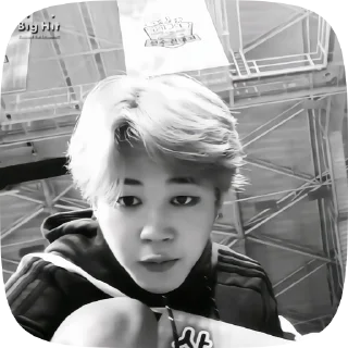 🦊 emoji park jimin. @yoonkat Telegram sticker 6 of 17