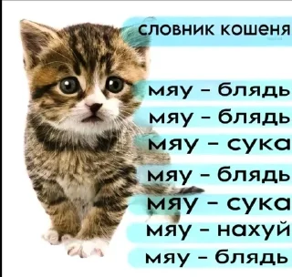 🌟 emoji Пак рандом фото от @orisomi Telegram sticker 12 of 82
