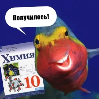 🐟 emoji рыбывнепонятках Telegram sticker 8 of 26
