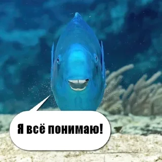 🐟 emoji рыбывнепонятках Telegram sticker 9 of 26